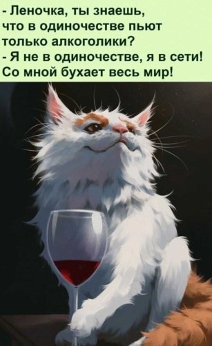   ! - 9  2021  12:32