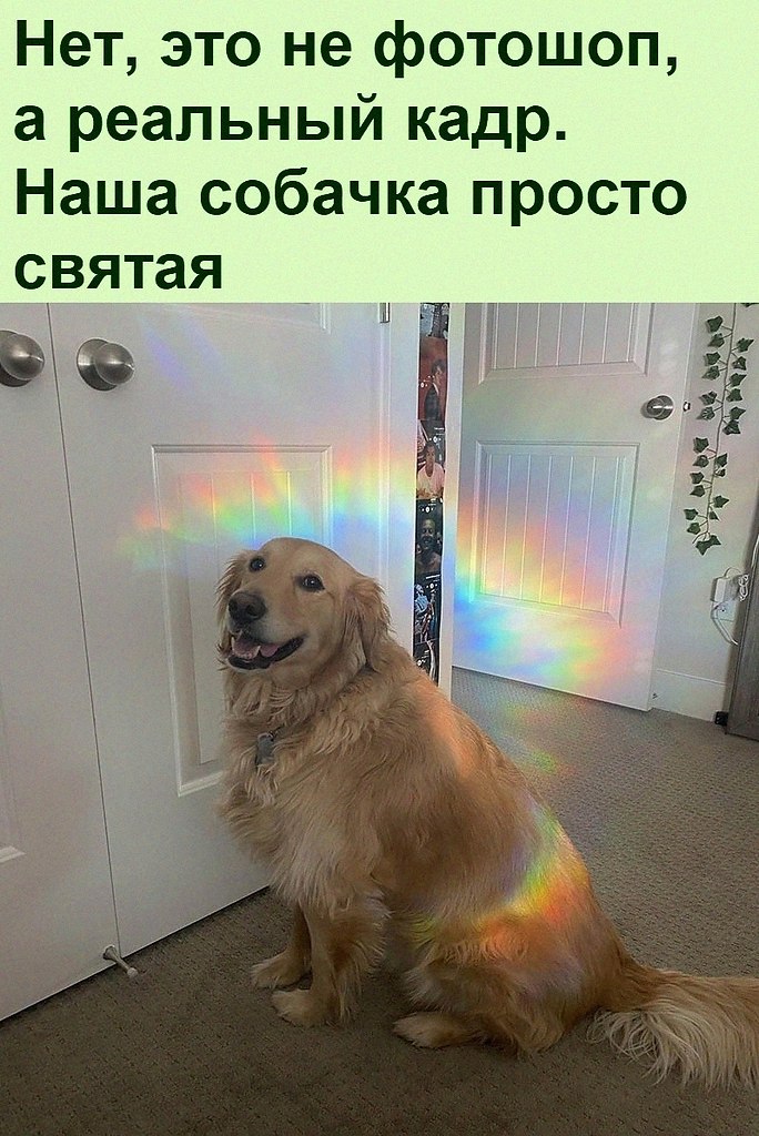   :D - 17  2021  20:49