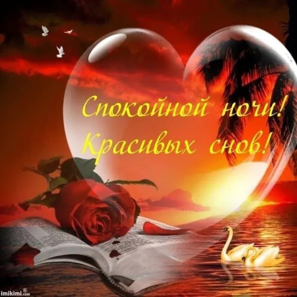   ,    . - 5  2021  21:51 - 9