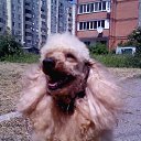 ���� ���������, ��������� - ��������� 2 ������ 2021 � ������ ������� � ����