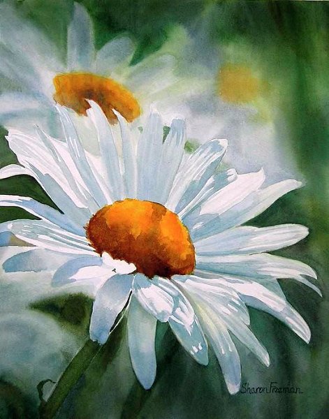  Sharon Freeman