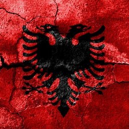 O M E R, ������, 40 ���