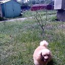 ���� ���������, ��������� - ��������� 2 ������ 2021 � ������ ������� � ����