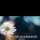 ���� ���������, ����������, 65 ��� - ��������� 8 ������� 2021 � ������ ������ �����)�