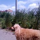 ���� ���������, ��������� - ��������� 2 ������ 2021 � ������ ������� � ����