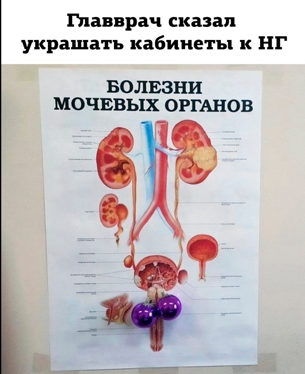 ***Victoria Viktorovna*** - 16  2021  04:46
