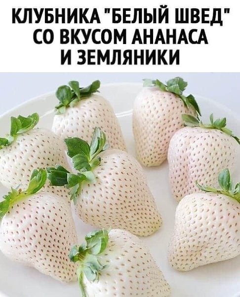   - 30  2022  21:50