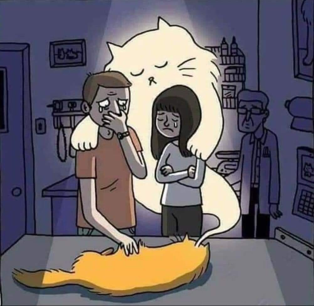  ,    .  - ...
