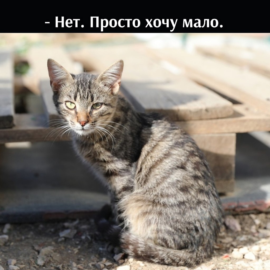       - 9  2021  13:20 - 3