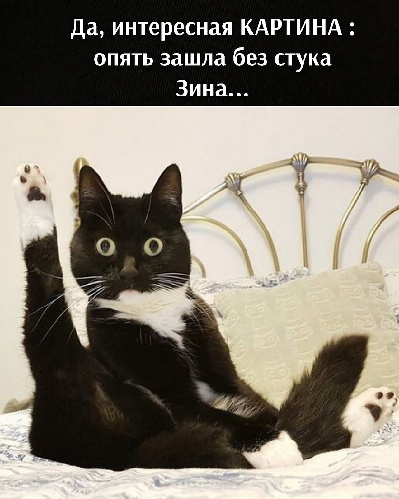       - 13  2021  15:16