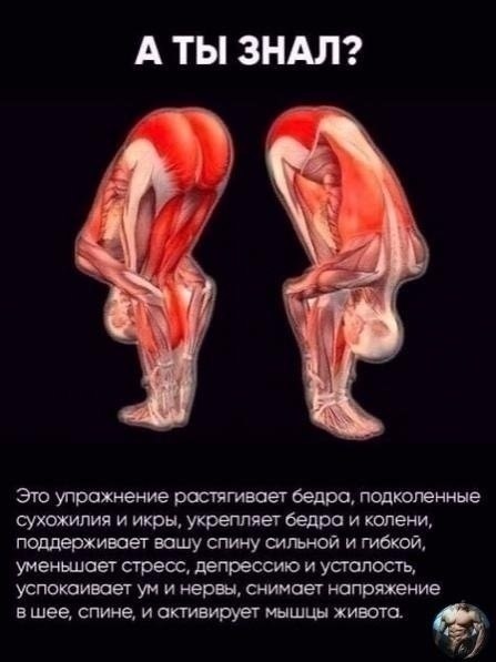 �������� ����� �� ����� �������� ����������. ������ � ��������� ���� ���������