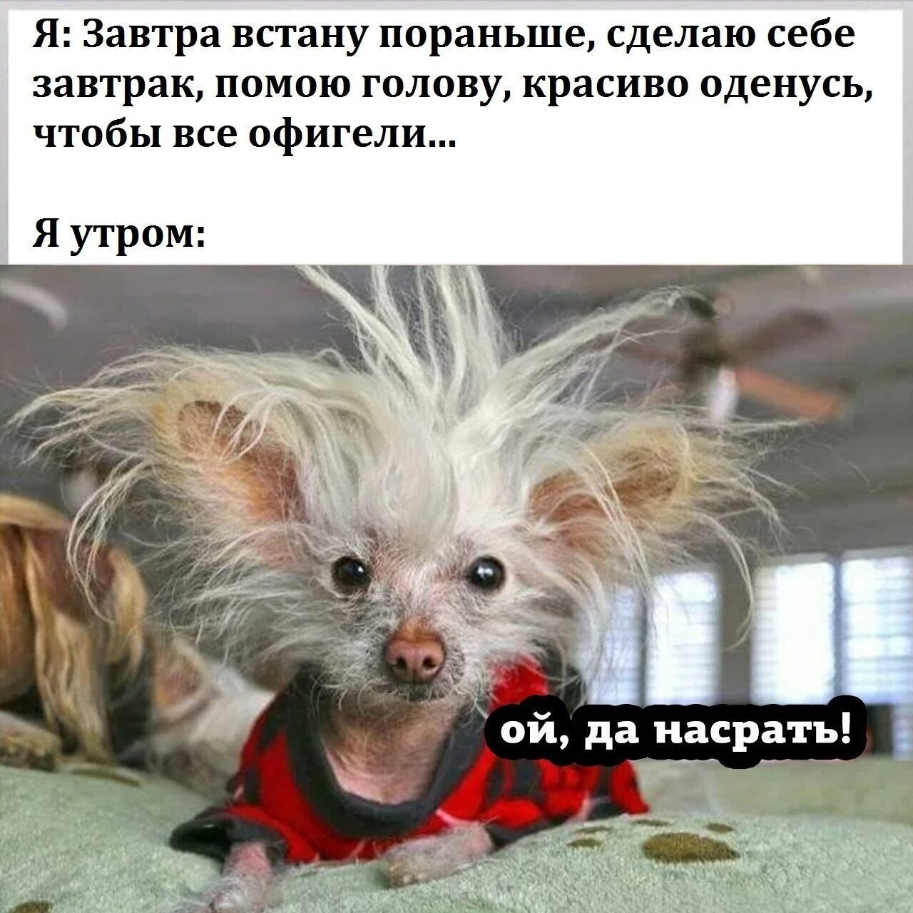  - 11  2021  20:13