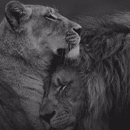 ���� S, ��������� - ��������� 13 ������ 2021