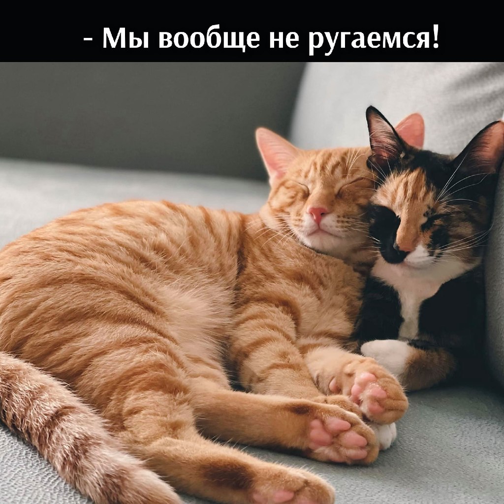       - 22  2022  22:43 - 2