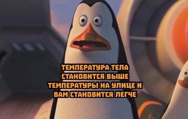      ,      - 3