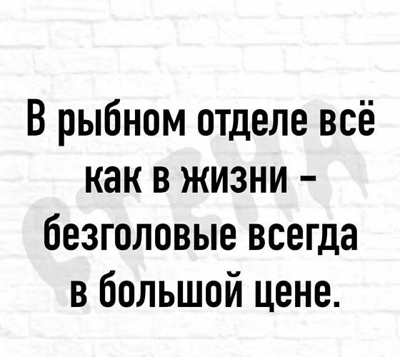  - 21  2021  13:09