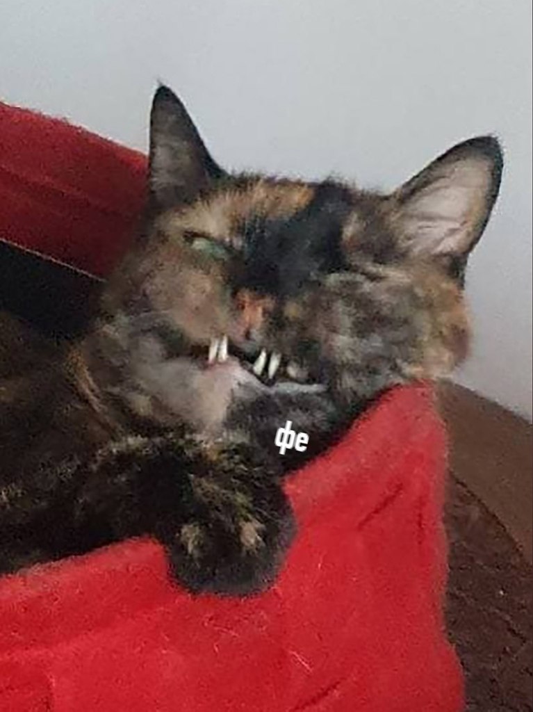      -   - 2