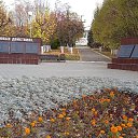  , , 43  -  8  2021   09.10.2020