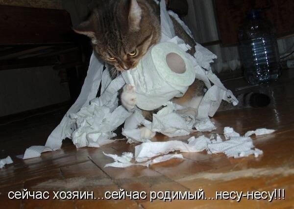    - 30  2021  02:31