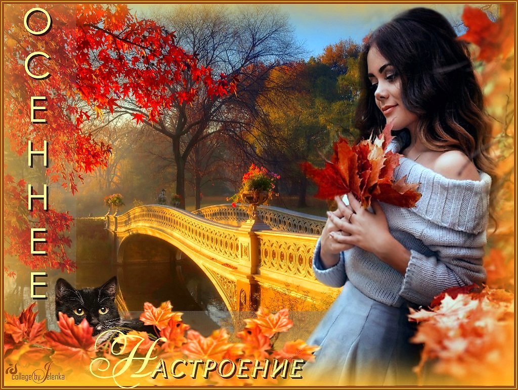 Осенний парк фото. Осенние кадры в парке креативные фото. Осеннее настроение в душе. Загадки про осень. Грустная осень.