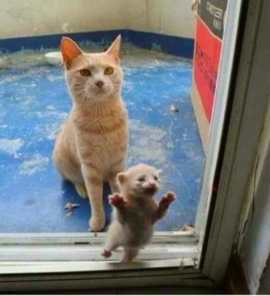 - Bac o?  a a!!....))