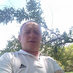 ������, ���������, 37 ���