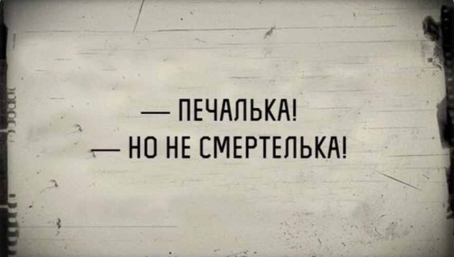 (^///^)