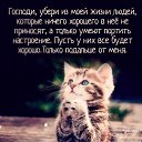���� ��������, ������������ - ��������� 6 ��� 2021 � ������ ������ ��������
