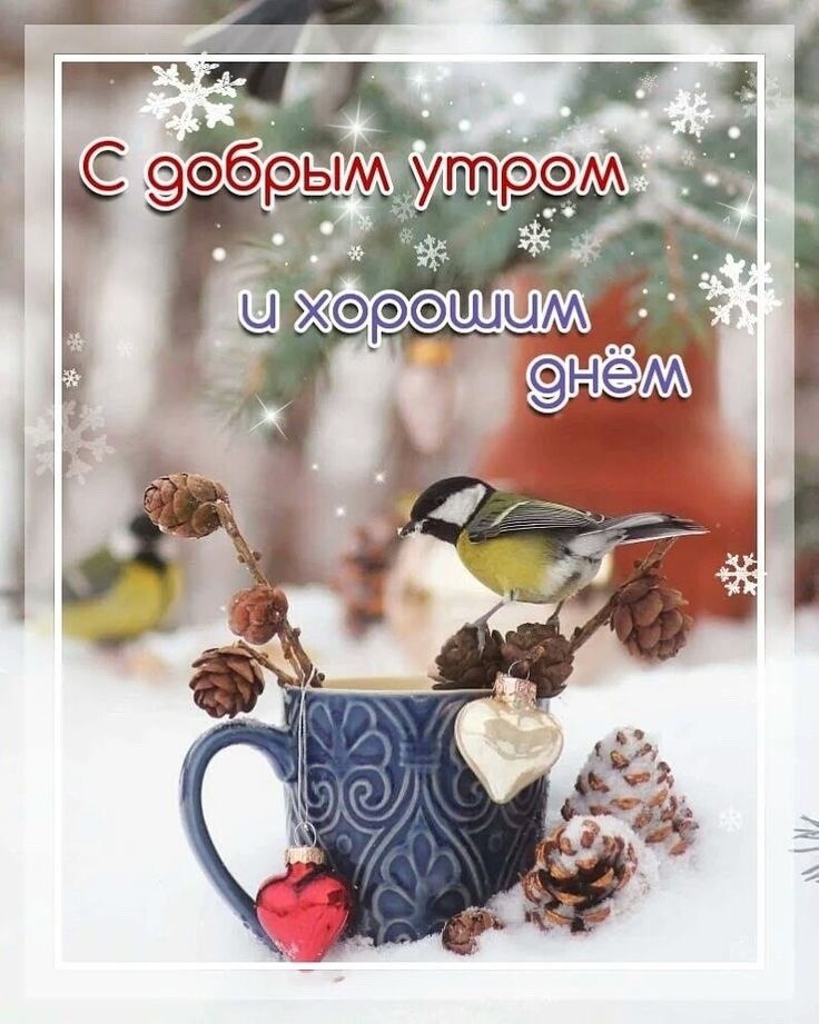   ,    . - 16  2021  07:06 - 4