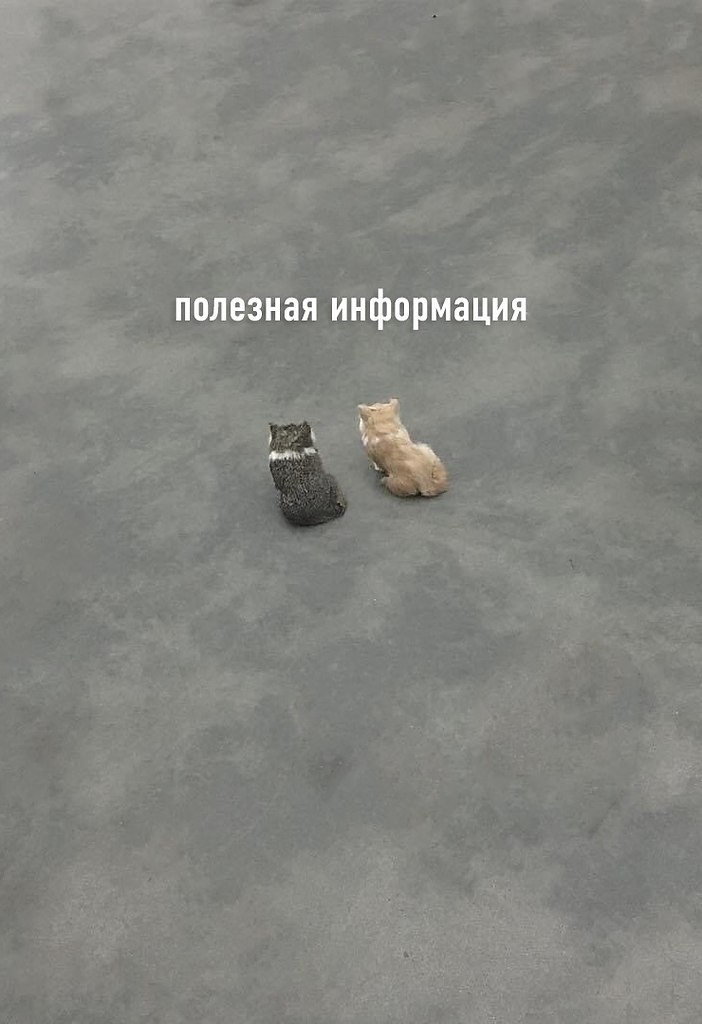   :