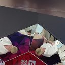 ���� �������, ������ - ��������� 8 ��� 2021 � ������ ���� ����������