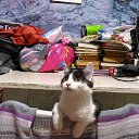 ���� Sergey, ����-�����������, 50 ��� - ��������� 25 ���� 2021 � ������ ���� ����������