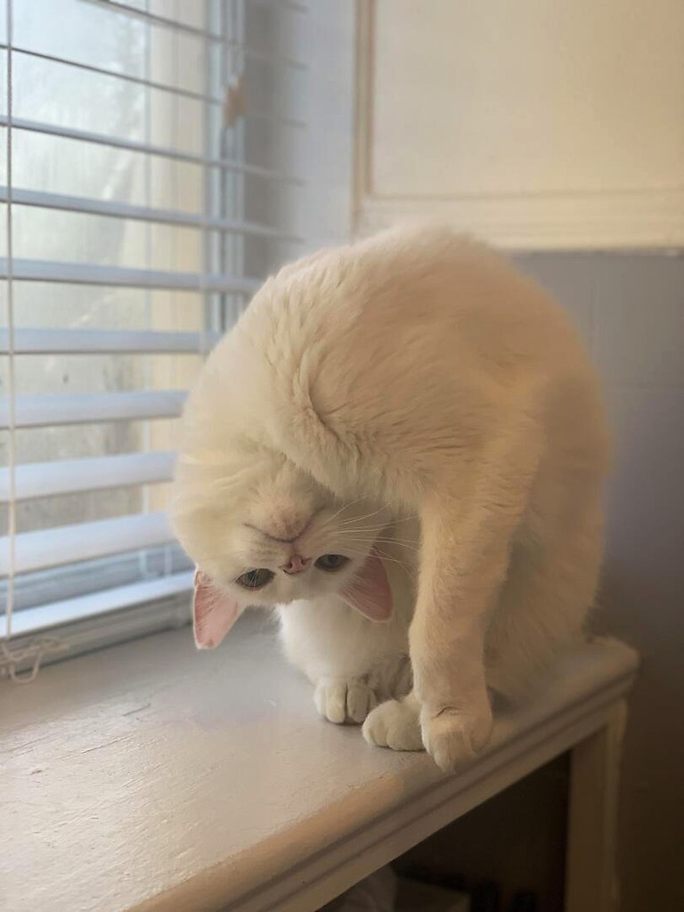  ,         - 2