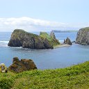  , , 69  -  3  2021    .  .