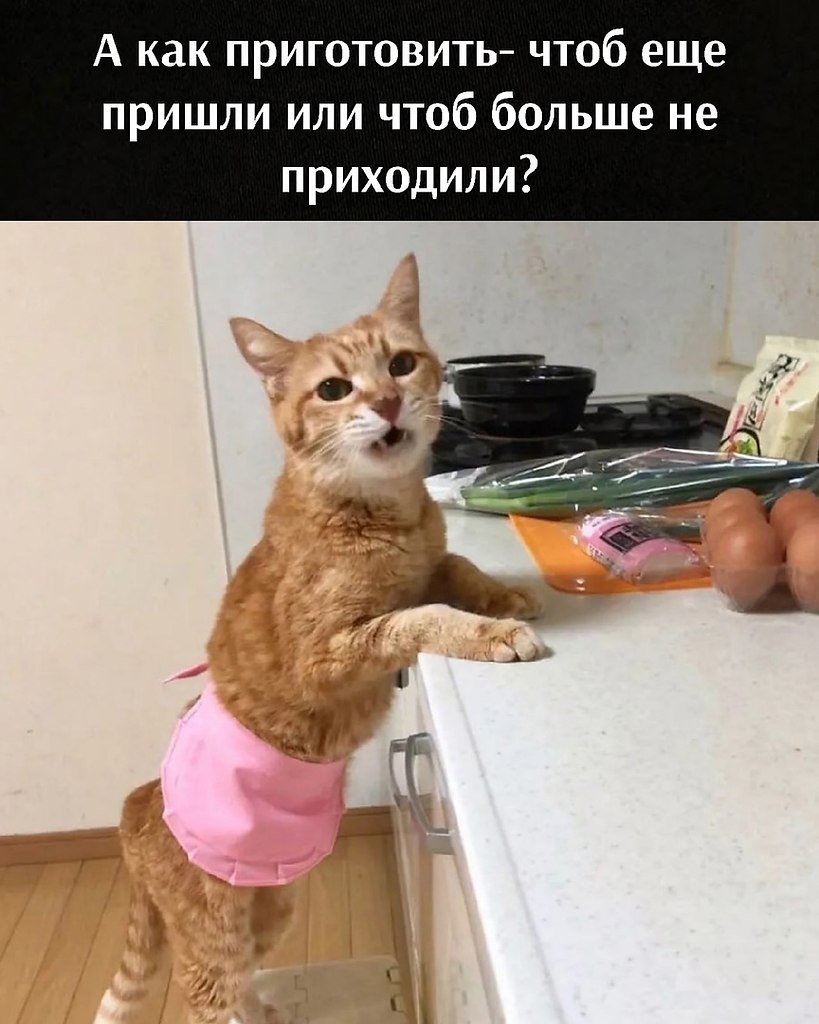       - 22  2021  13:28 - 3