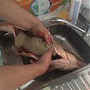 ���� �����, ������, 58 ��� - ��������� 8 ���� 2021