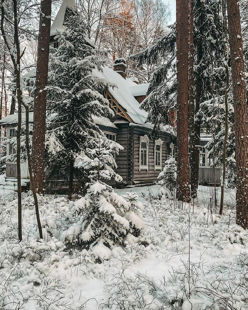 Дача Чирикова в Комарово. Заброшенные дачи Комарово. Писательские дачи в Комарово. Комарово зима.