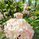 ���� ����, �����-���������, 68 ��� - ��������� 9 ���� 2021 � ������ ����� 2021�