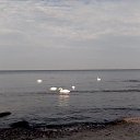 ���� �����, �������, 49 ��� - ��������� 7 ������� 2021