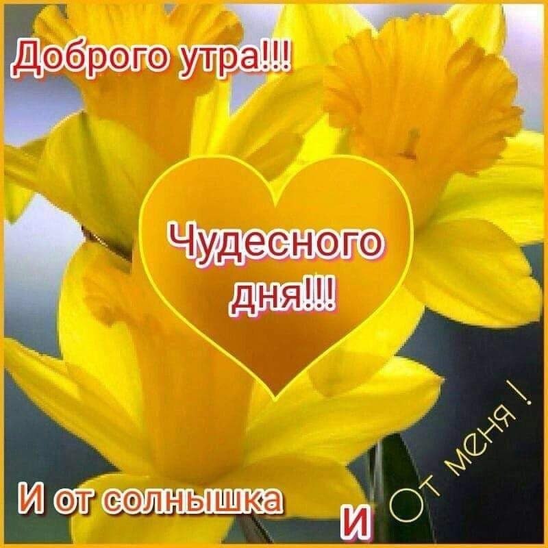   ,    . - 12  2021  23:49 - 3