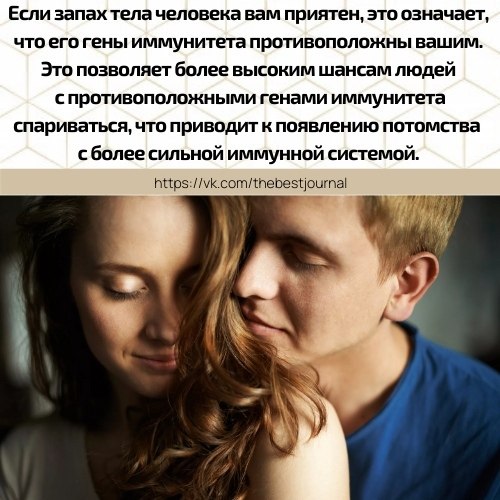 BEST | , ,  - 28  2021  18:48