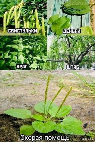  , !!!)))