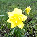 ���� ������, �����-���������, 45 ��� - ��������� 9 ������� 2021 � ������ ���� ����������