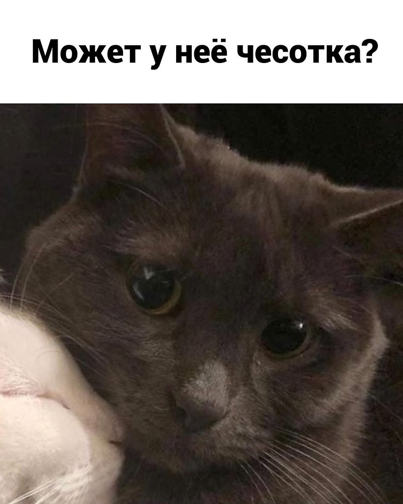      . - 4