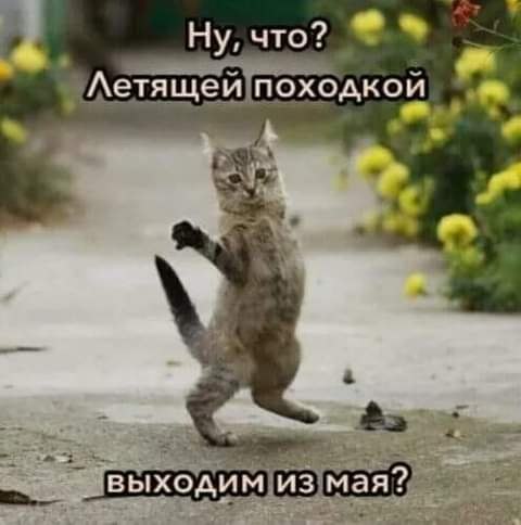   ! - 31  2021  15:56