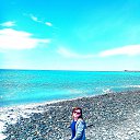  ,  , 50  -  12  2021    