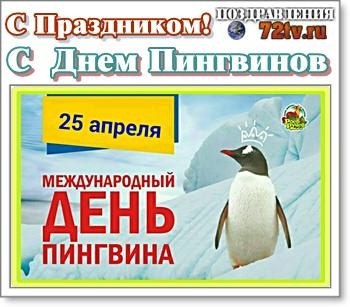   ,    . - 24  2021  22:41 - 3