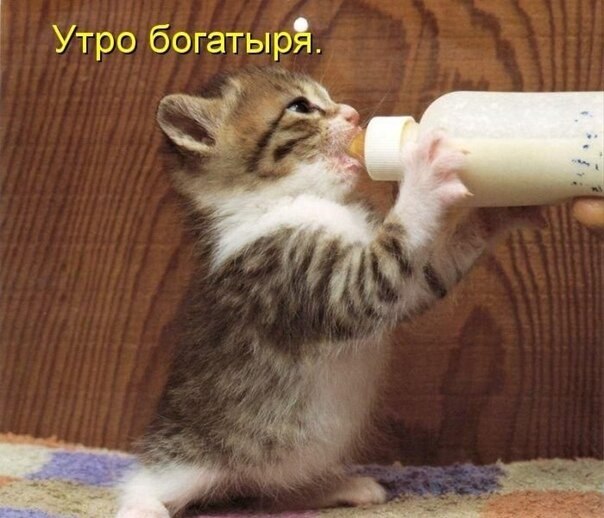    - 13  2021  12:15