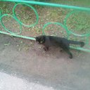  , , 42  -  20  2021   ...