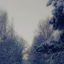 ���� �������, �����, 49 ��� - ��������� 14 ������� 2021